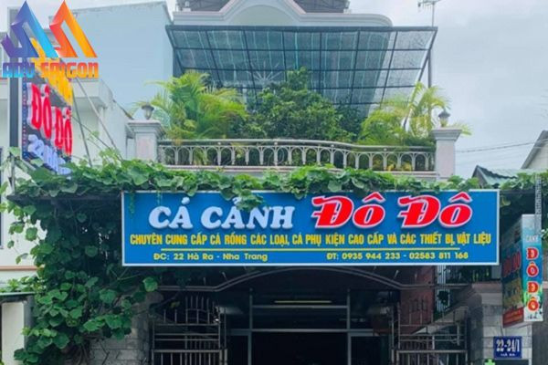 Bảng hiệu cá cảnh Đô Đô với phong cách tự nhiên