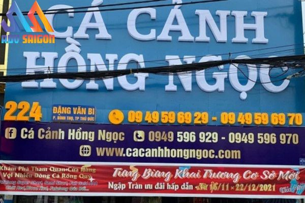 Bảng hiệu cá cảnh Hồng Ngọc mang vẻ đẹp sang trọng