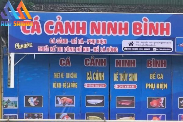 Bảng hiệu cá cảnh Ninh Bình với thiết kế tối giản