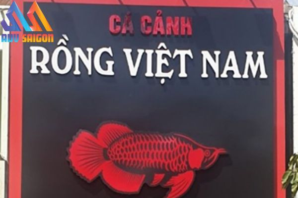 Bảng hiệu cá cảnh Rồng Nam Việt thể hiện sự quyền uy