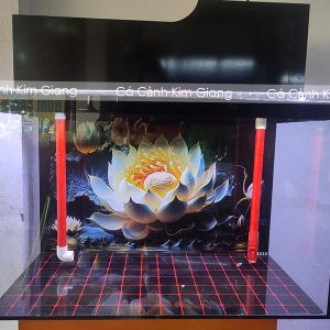 Bể cá 80x40x50cm lọc đầu tàu giấu bơm