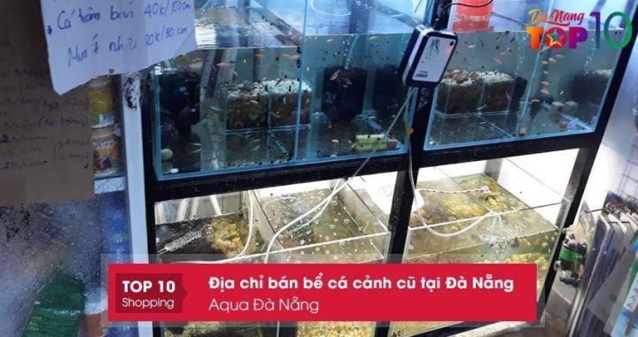 Bể cá cảnh cũ chất lượng tại Aqua Đà Nẵng