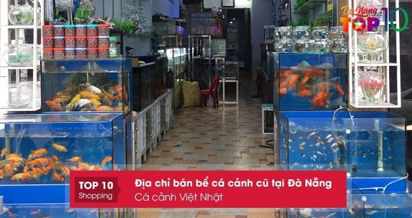 Bể cá cảnh cũ thiết kế đẹp tại Cá cảnh Việt Nhật Đà Nẵng