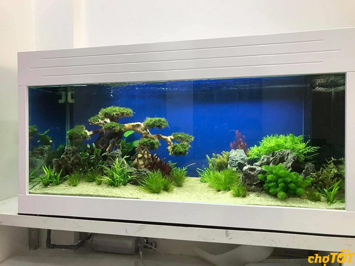 Bể cá cảnh treo tường thanh lý trang trí phòng khách
