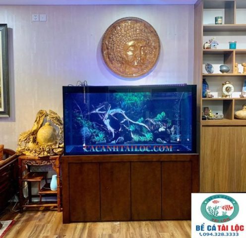 Bể cá cảnh trong suốt, kích thước lớn, trang trí đẹp mắt