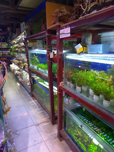 Bể cá cảnh với nhiều loài cá bơi lội