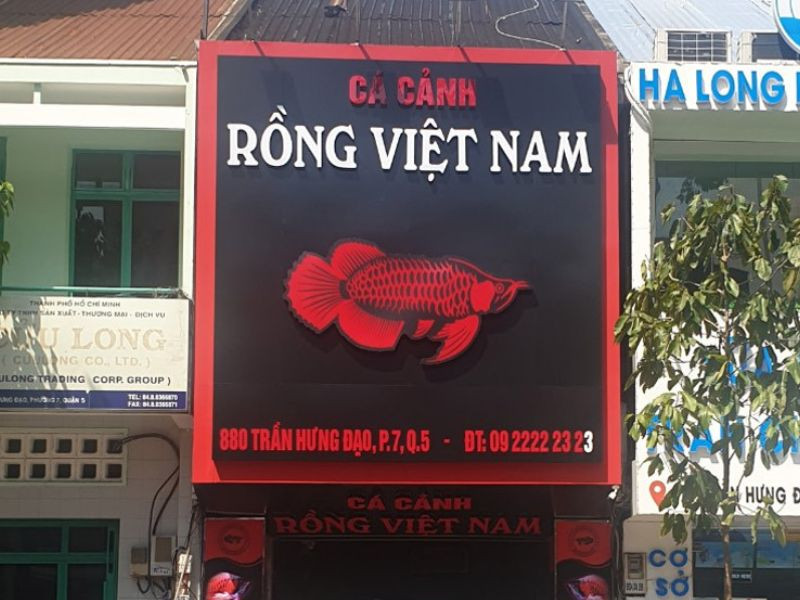 Biển hiệu cửa hàng cá cảnh độc đáo