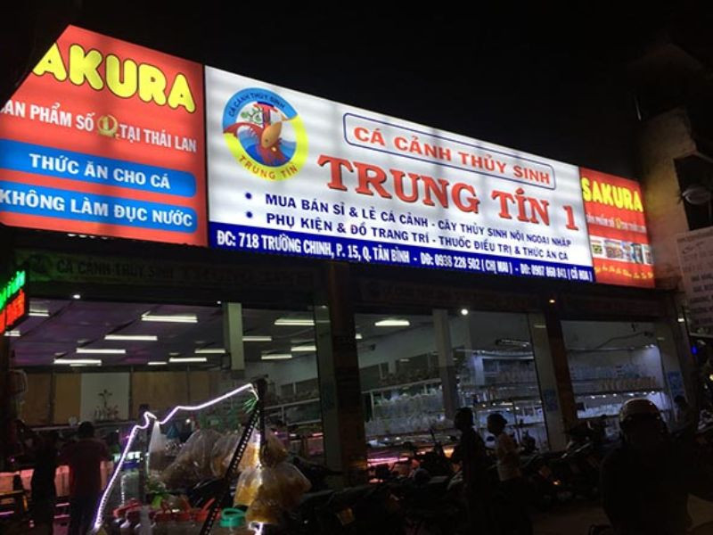 Biển quảng cáo cá cảnh ban đêm