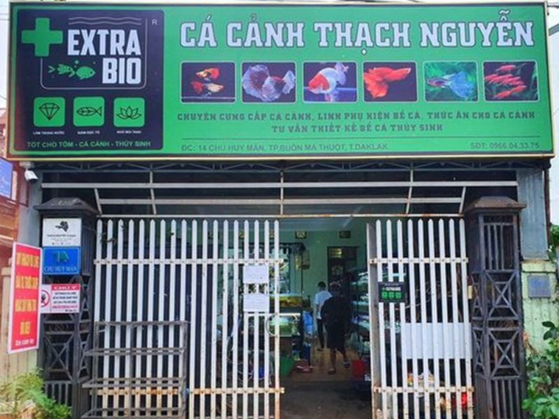 Biển quảng cáo cá cảnh nghệ thuật