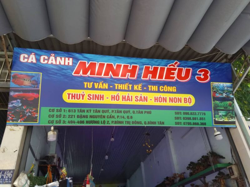 Biển quảng cáo cá cảnh thu hút