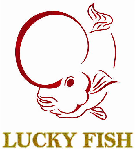 Cá La Hán với chiếc đầu gù đặc trưng và màu sắc rực rỡ tại cửa hàng Lucky