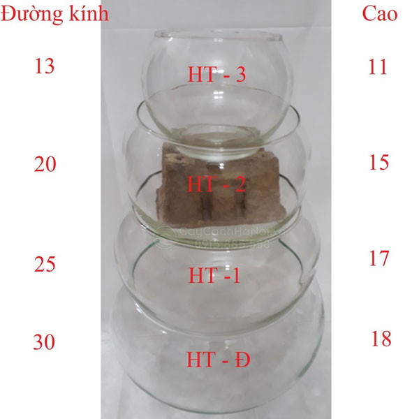 Các kích thước chậu thủy tinh tròn