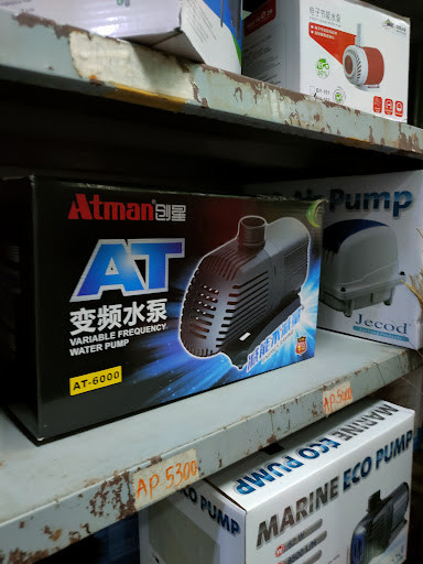 Các loại cá cảnh tại tiệm Hà Cường Quận 5