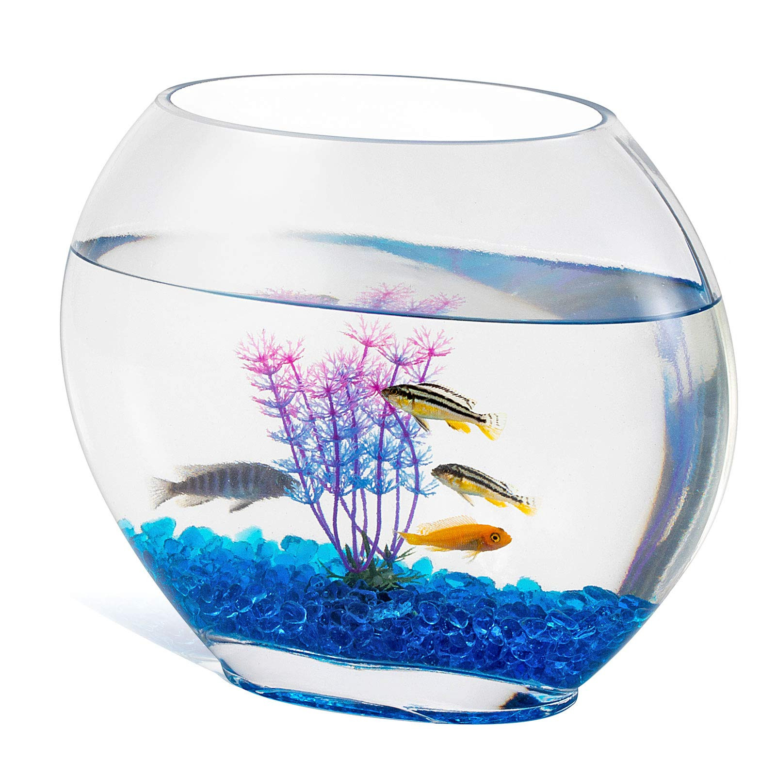 Chậu cá cảnh đẹp làm từ bình thủy tinh trong suốt, chứa đựng một hệ sinh thái mini với cá và cây thủy sinh, tạo điểm nhấn tự nhiên và thanh lịch.