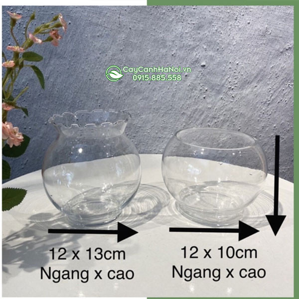 Chậu thủy tinh tròn an toàn cho cá cảnh