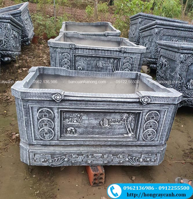 chậu xi măng vuông 1m2 nuôi cá cảnh trong sân vườn