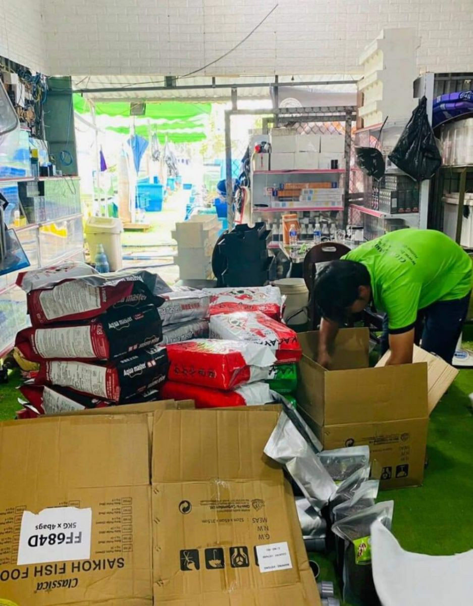 Chế độ dinh dưỡng đặc biệt cho cá cảnh tại Thanh Liêm