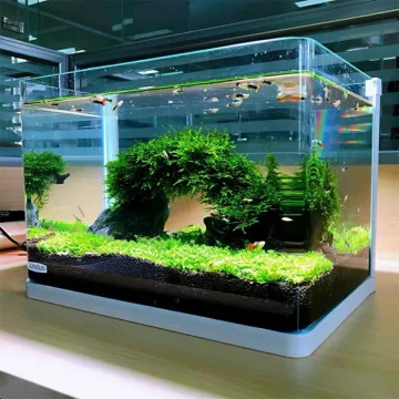 Chính sách ưu đãi và khuyến mãi khi mua be cá cảnh đúc nguyên khối 1m2