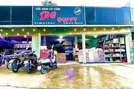 Chọn cá cảnh phù hợp hồ tại Mỹ Tho