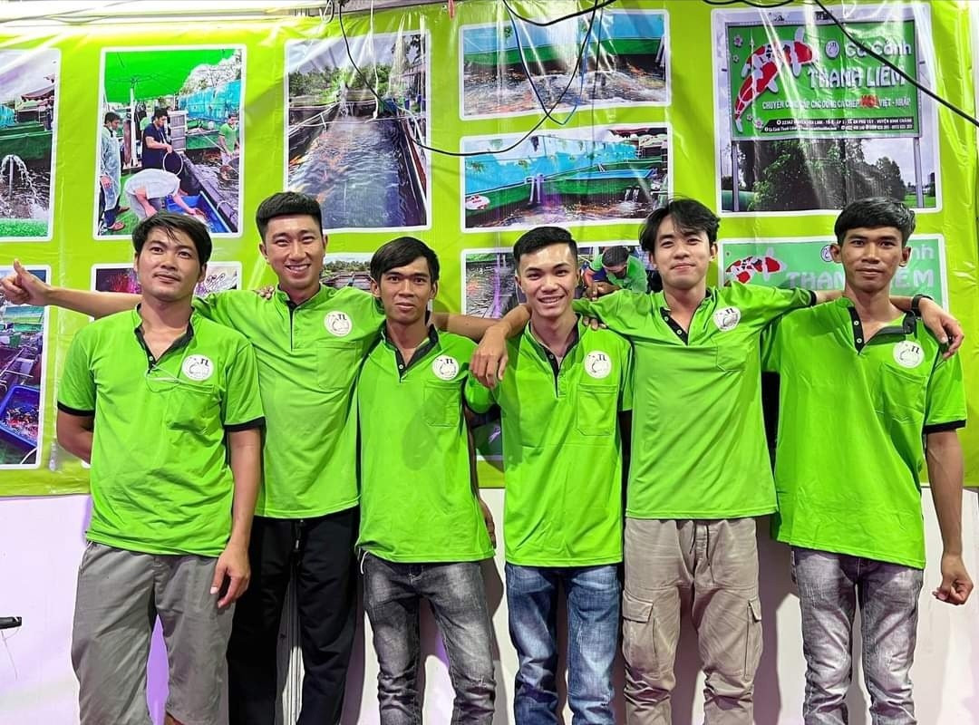 Chuyên gia tại cá cảnh Thanh Liêm đang chăm sóc đàn cá Koi