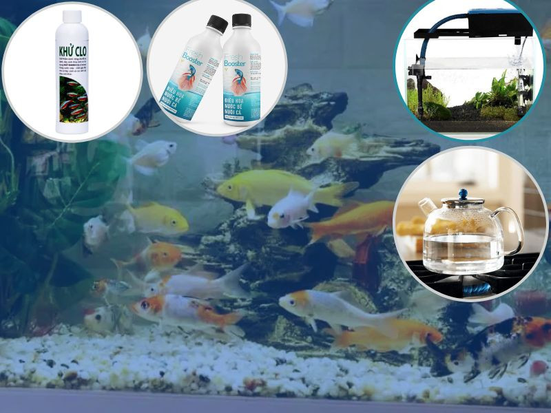 Có nhiều cách để xử lý nước máy, bao gồm phơi, đun sôi hoặc sử dụng máy lọc nước chuyên dụng