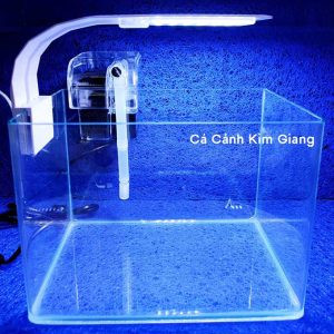 Combo bể cá mini để bàn nhỏ gọn, tô điểm không gian thêm đẹp