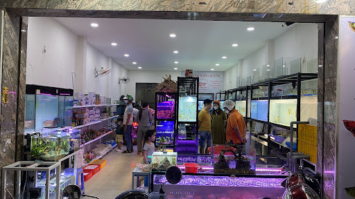Cửa hàng cá cảnh Nam Sài Gòn với các loại cá khỏe mạnh