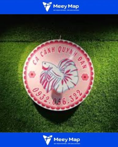 Cửa hàng cá cảnh Quỳnh Đan với đa dạng các loài cá và phụ kiện tại Cần Thơ