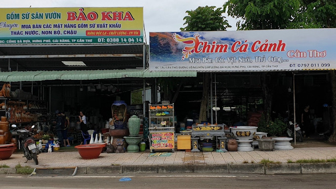 Cửa hàng Chim cá cảnh Cần Thơ với các loại chim và cá đa dạng