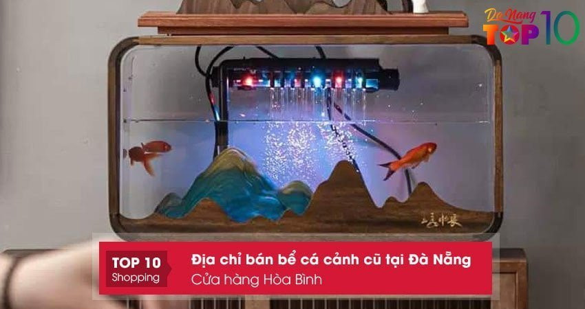 Cửa hàng Hòa Bình cung cấp bể cá cảnh đã qua sử dụng tại Đà Nẵng