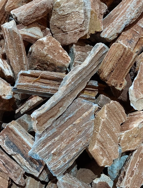 Đá gỗ hóa thạch đỏ với vân gỗ độc đáo, vật liệu trang trí bể cá cảnh đẹp mắt