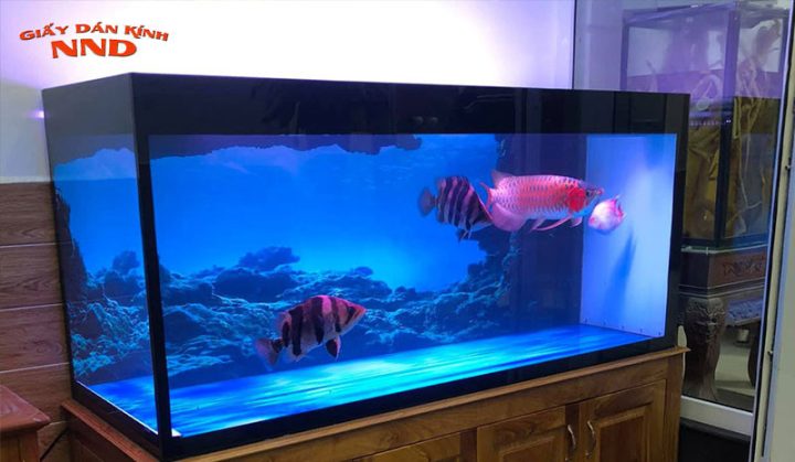 decal dán bể cá cảnh phong cảnh biển xanh