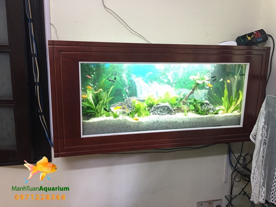 Góc cận cảnh hệ thống lọc và cây thủy sinh sống động trong bể cá cảnh treo tường ở Mỹ Đình