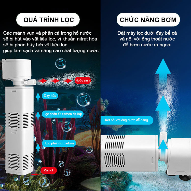 Hệ thống lọc nước bể cá cảnh với nhiều chức năng
