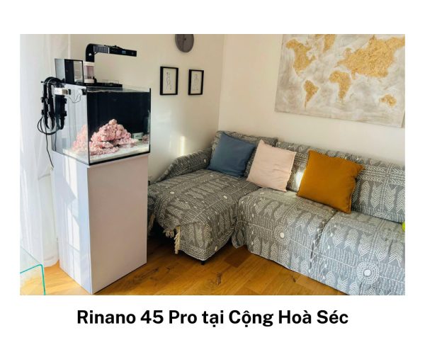 Hồ cá cảnh biển mini Rinano và chi phí setup