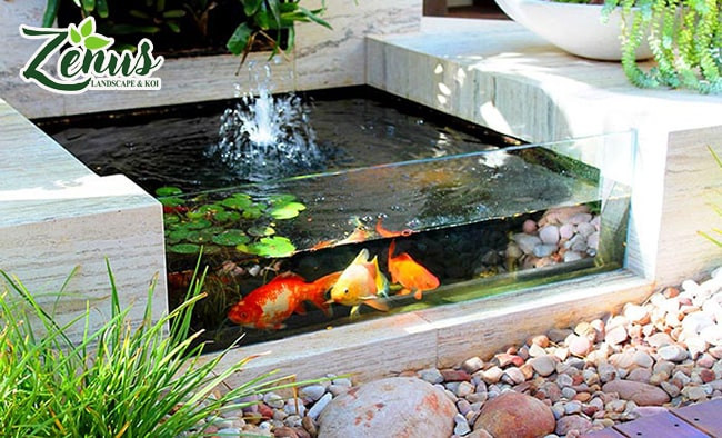 Hồ cá cảnh mini ngoài trời bằng kính