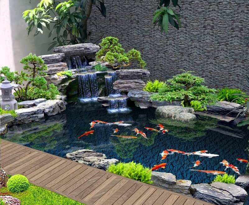 Hồ cá Koi cảnh quan tự nhiên với những chú cá Koi nhiều màu sắc tại một shop cá cảnh Tây Ninh