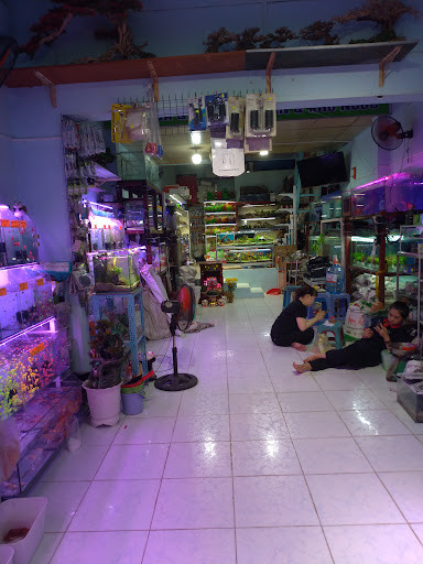 Kệ trưng bày cây thủy sinh và phụ kiện hồ cá