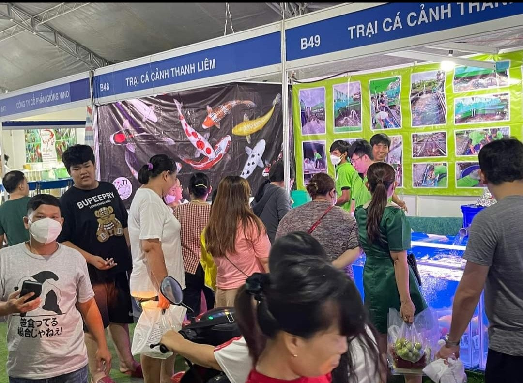 Khách tham quan tìm hiểu về cá cảnh tại Trại Thanh Liêm