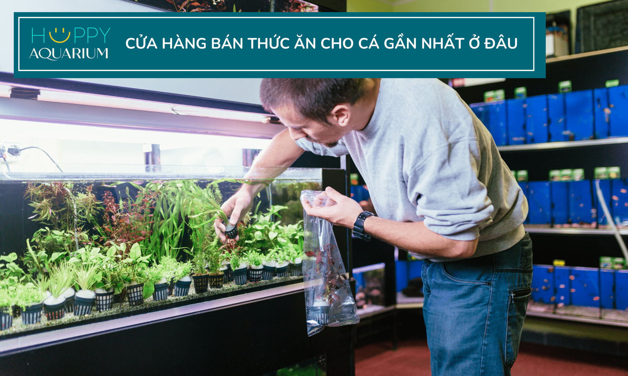 Khám phá thế giới cá cảnh phong phú tại cửa hàng chuyên nghiệp