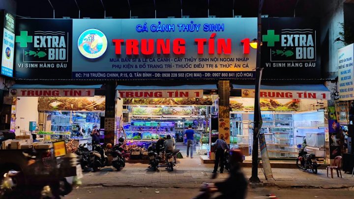 Không gian trưng bày cá cảnh châu thành long và các loài cá quý hiếm tại Aquatech