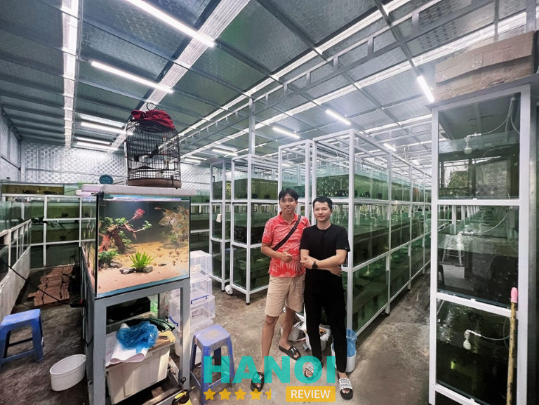 Kin Aqua, địa điểm bán cá cảnh sỉ tại Hà Nội