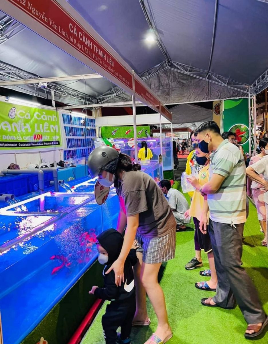 Kỹ thuật xây dựng hồ cá cảnh chuyên nghiệp của Thanh Liêm