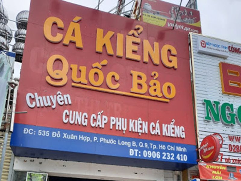 Lắp đặt biển quảng cáo cá cảnh