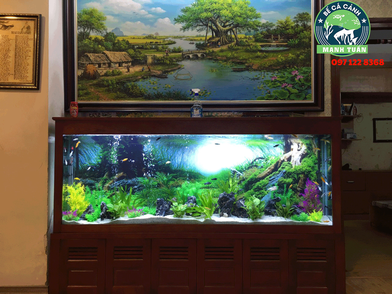 Mẫu bể cá cảnh đẹp
