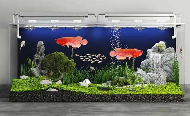 Mẫu bể cá cảnh Trung Quốc với thiết kế hiện đại