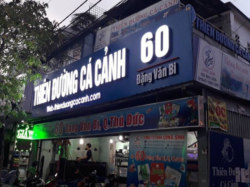 Mẫu biển hiệu cá cảnh đèn LED