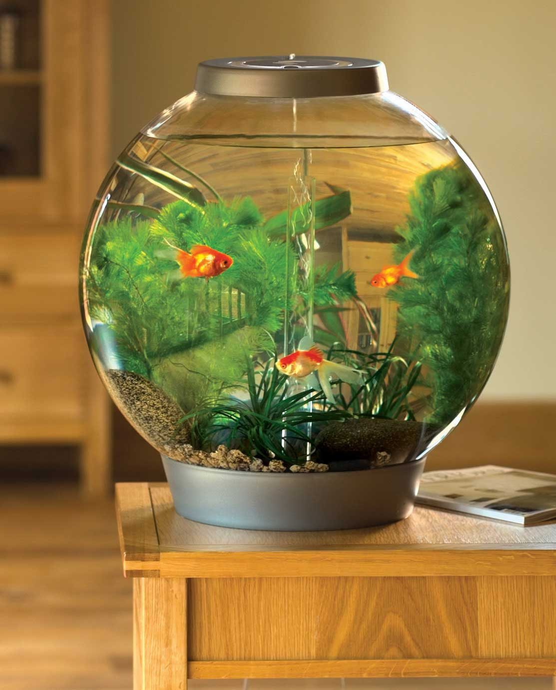 Mẫu chậu cá cảnh tròn hiện đại, với thiết kế tối giản, phù hợp để đặt trên bàn, mang đến vẻ đẹp tinh tế và sự thư giãn cho người ngắm.