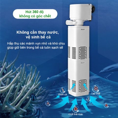 Máy lọc bể cá cảnh có khả năng hút 360 độ