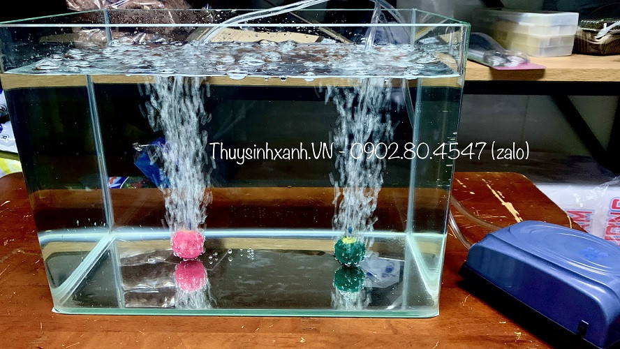 Máy sủi khí oxy hồ cá giá rẻ